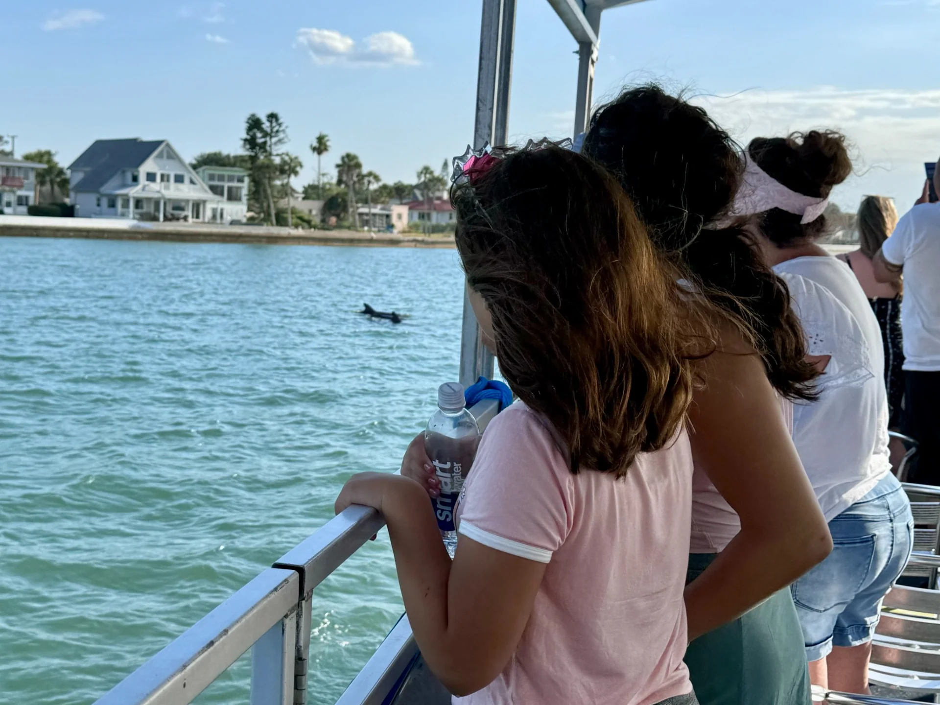 Kids watching dolphins from the boat